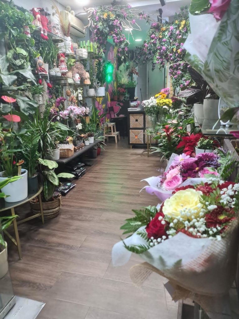 1 1 768x1024